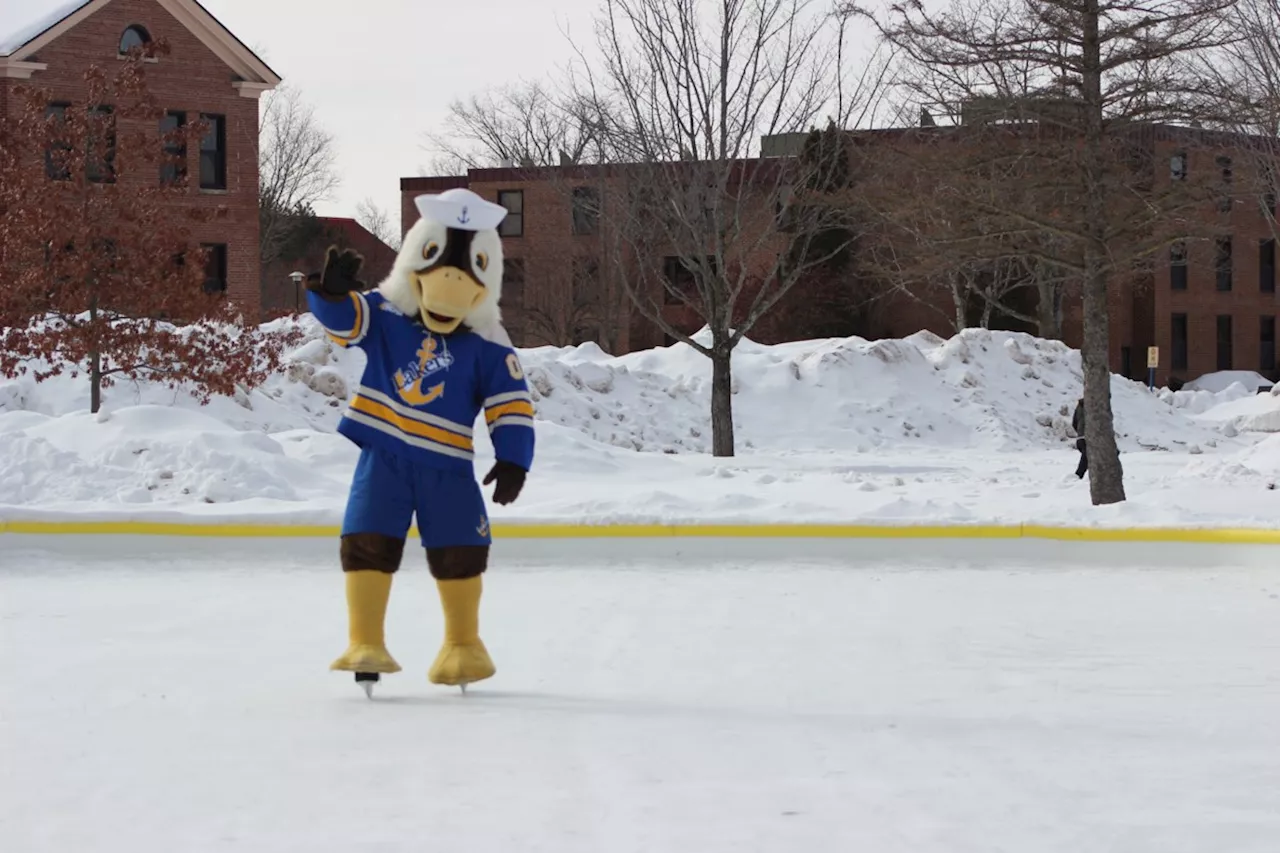 Sault College, Lake State hockey squads to square off in inaugural Lou Lukenda Cup