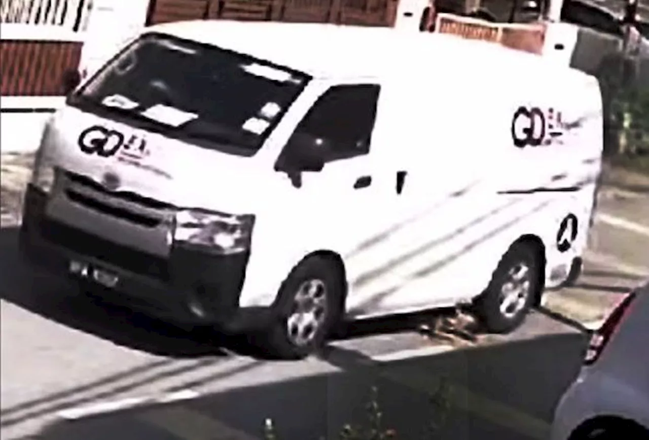 Courier company apologises after van driver accidentally runs over sleeping dog