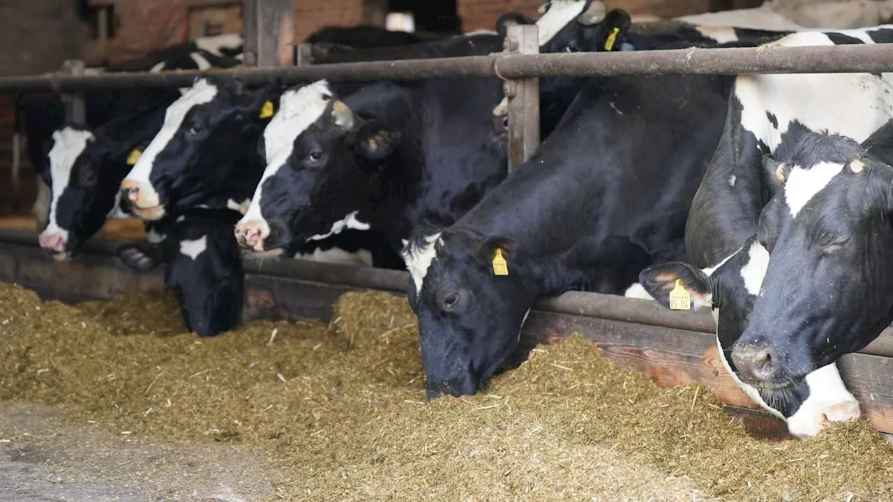 Landwirtschaft: Neue Regeln für Bauernhof-Erben