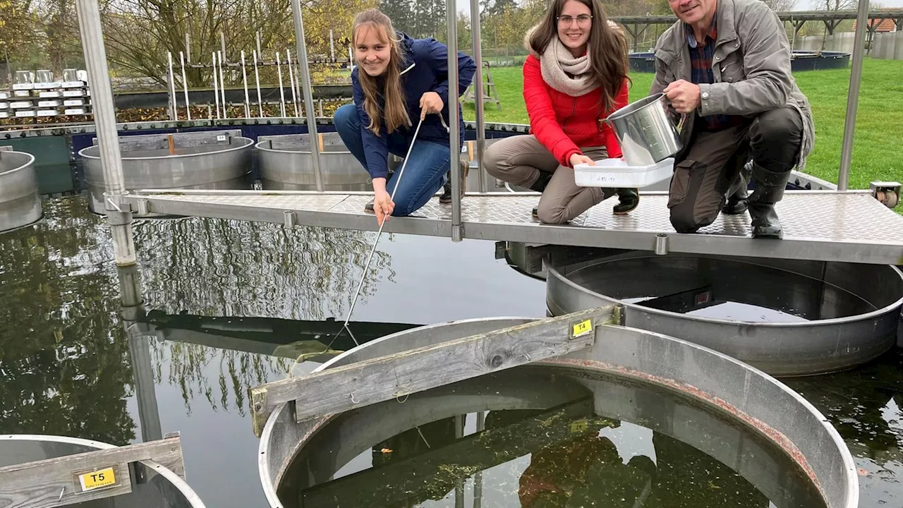 Vermittlung von Wissen: Wissenschaft greifbar machen: Biologikum eröffnet