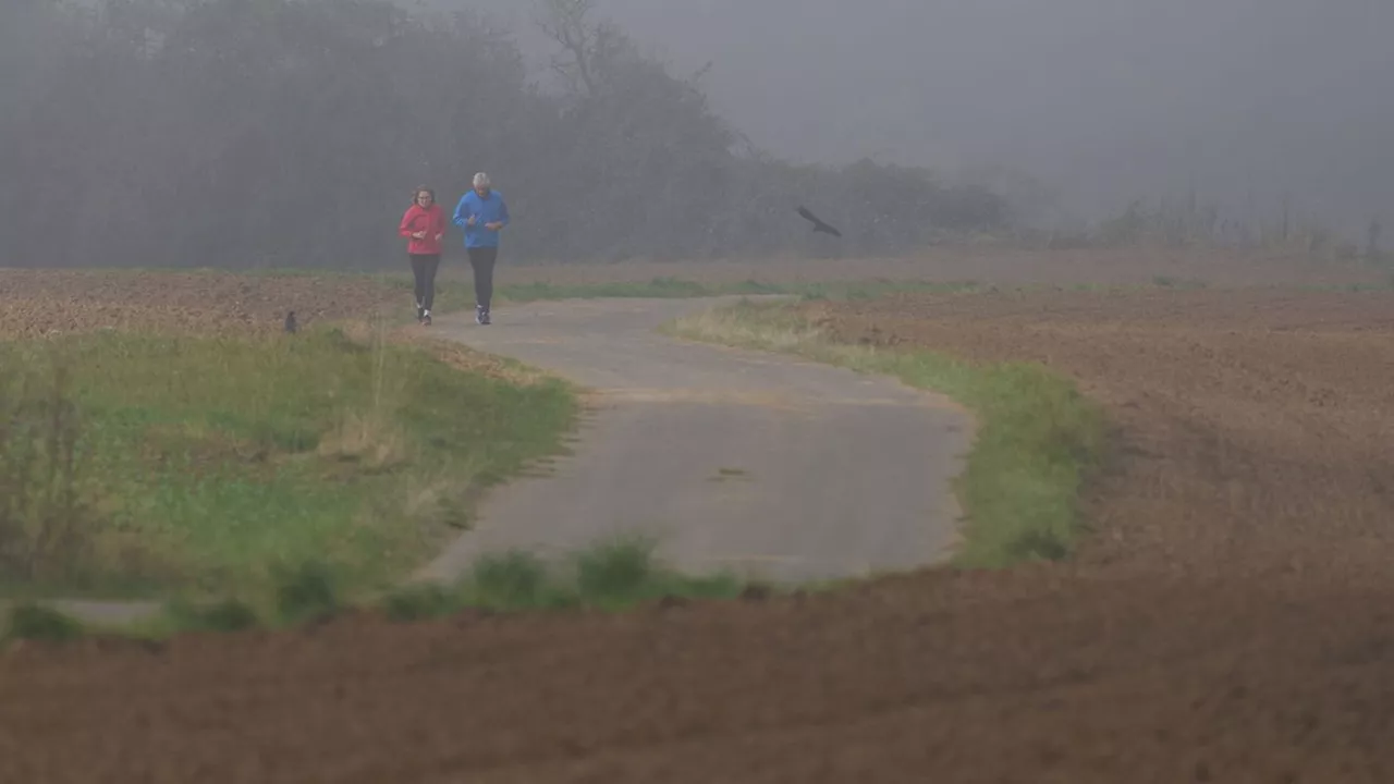 Wetter: Zum Wochenende bestimmen Wolken und Nebel das Wetter