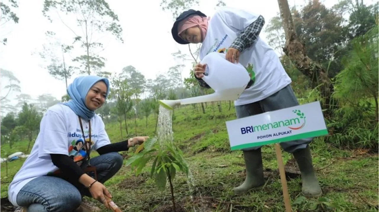 Rahasia BRI Raih Skor Tinggi ESG, Tata Kelola dan Ekonomi Jadi Kunci