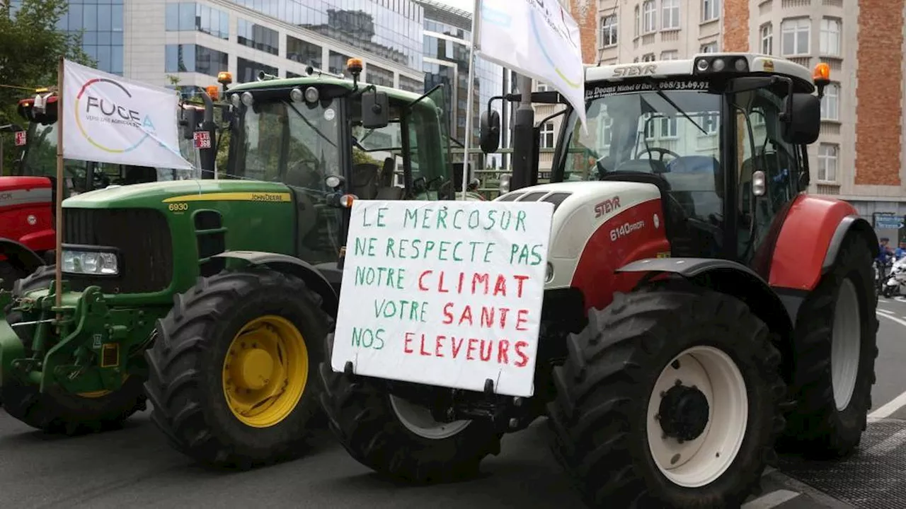 Accord UE-Mercosur : « inacceptable et insupportable », la France utilise « tous les moyens » pour bloquer le traité