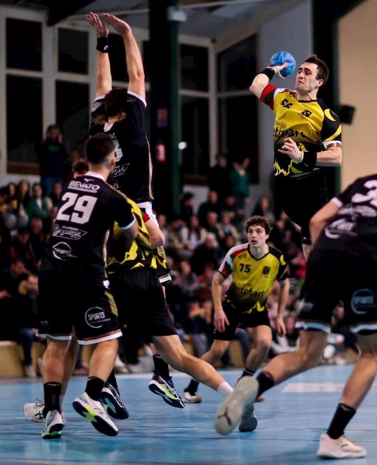 Handball (Nationale 2) : à Irissarry, Fabien Etchebarne ou les vingt ans de fidélité