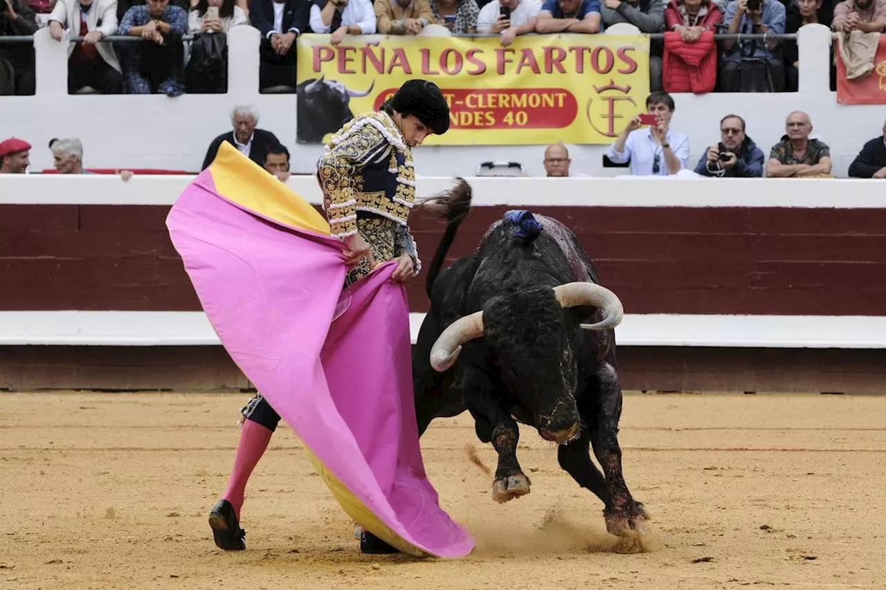 Toros : une nouvelle proposition de loi pour interdire la corrida aux mineurs