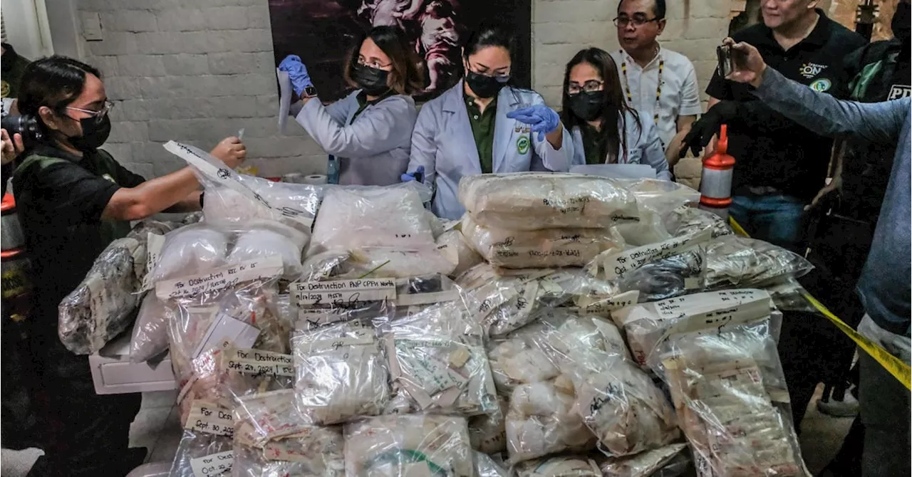 P489-M illegal drugs seized in Central Visayas, burned