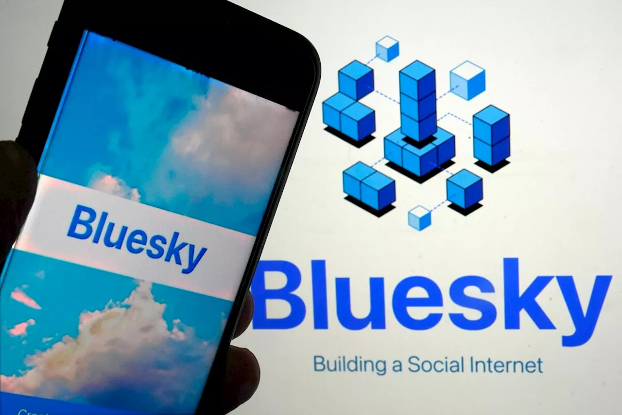 X-Nutzer wechseln Social-Media-Plattform: Eine Million neue Nutzer auf Bluesky nach US-Wahl