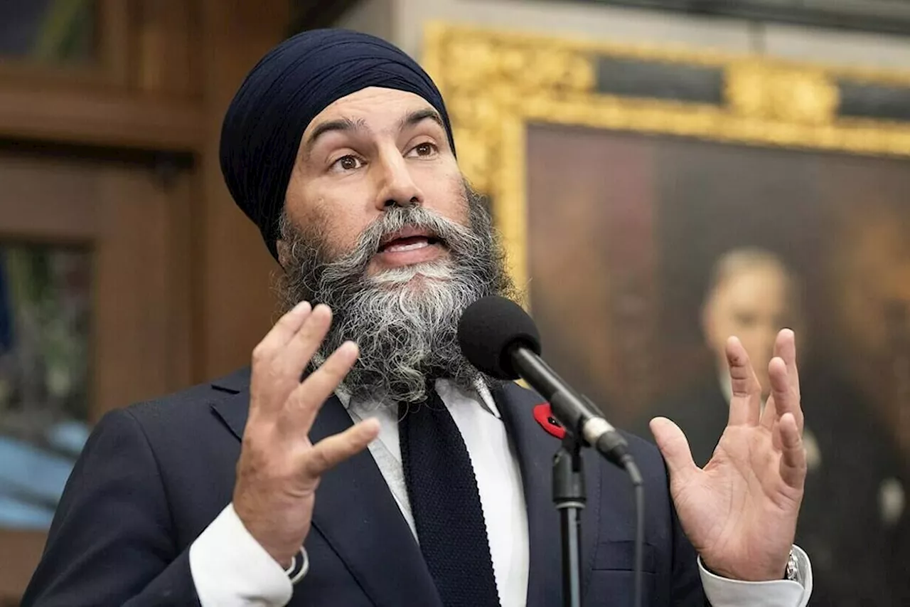 Diapers, heat, internet: NDP promise to drop GST on household essentials