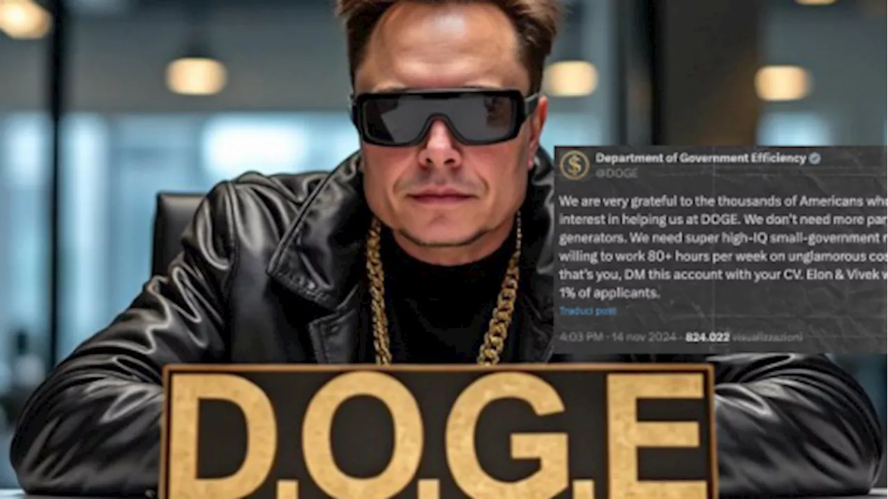 Elon Musk, su X il profilo per lavorare nel suo 'dipartimento' Doge: i requisiti richiesti