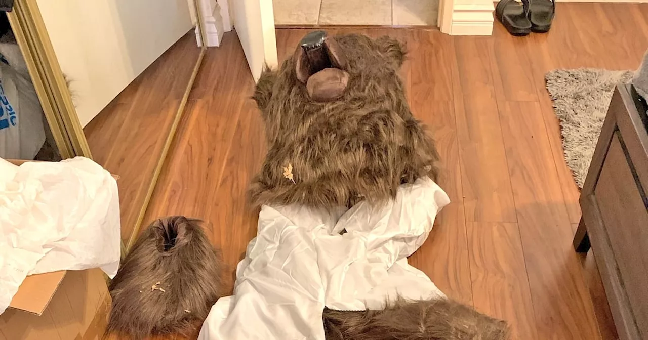 ‘Bear Attack’ Exposed as Insurance Fraudster in Animal Costume