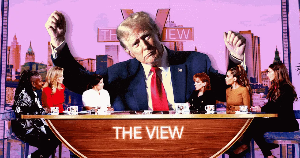 ‘The View’ Pleads With Trump: Go On Show to Face Your Haters