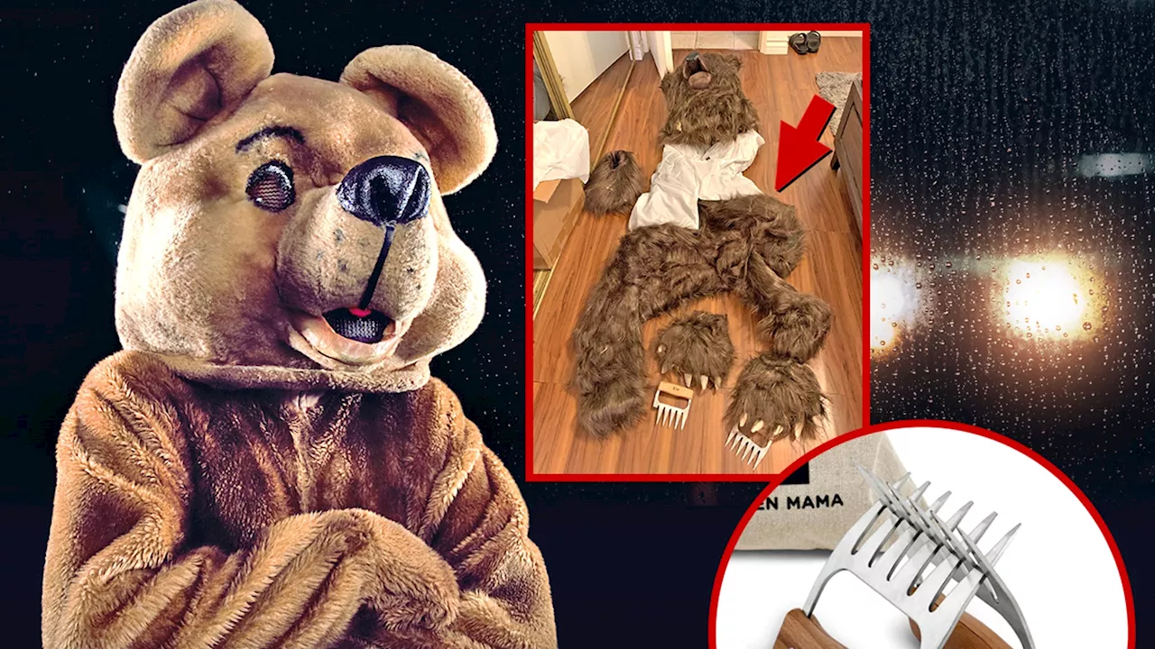 Four Arrested for Wearing Bear Costume, Damaging High-End Cars in Scam