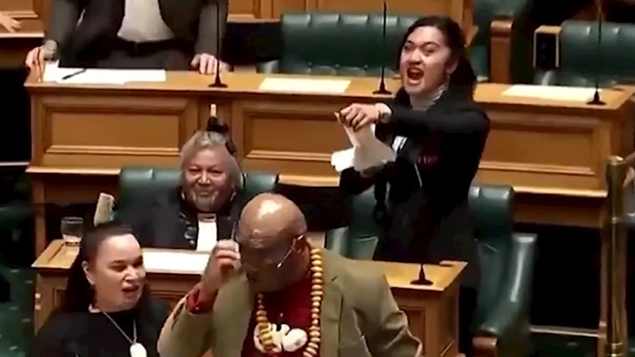 Political Chaos Erupts with Fierce Haka Dance in New Zealand Parliament