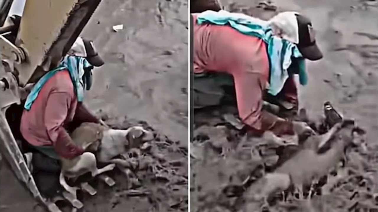 Video Detik-detik Pria Selamatkan Anjing dari Arus Air Banjir Viral, Netizen Terharu: Gini Aja Mewek