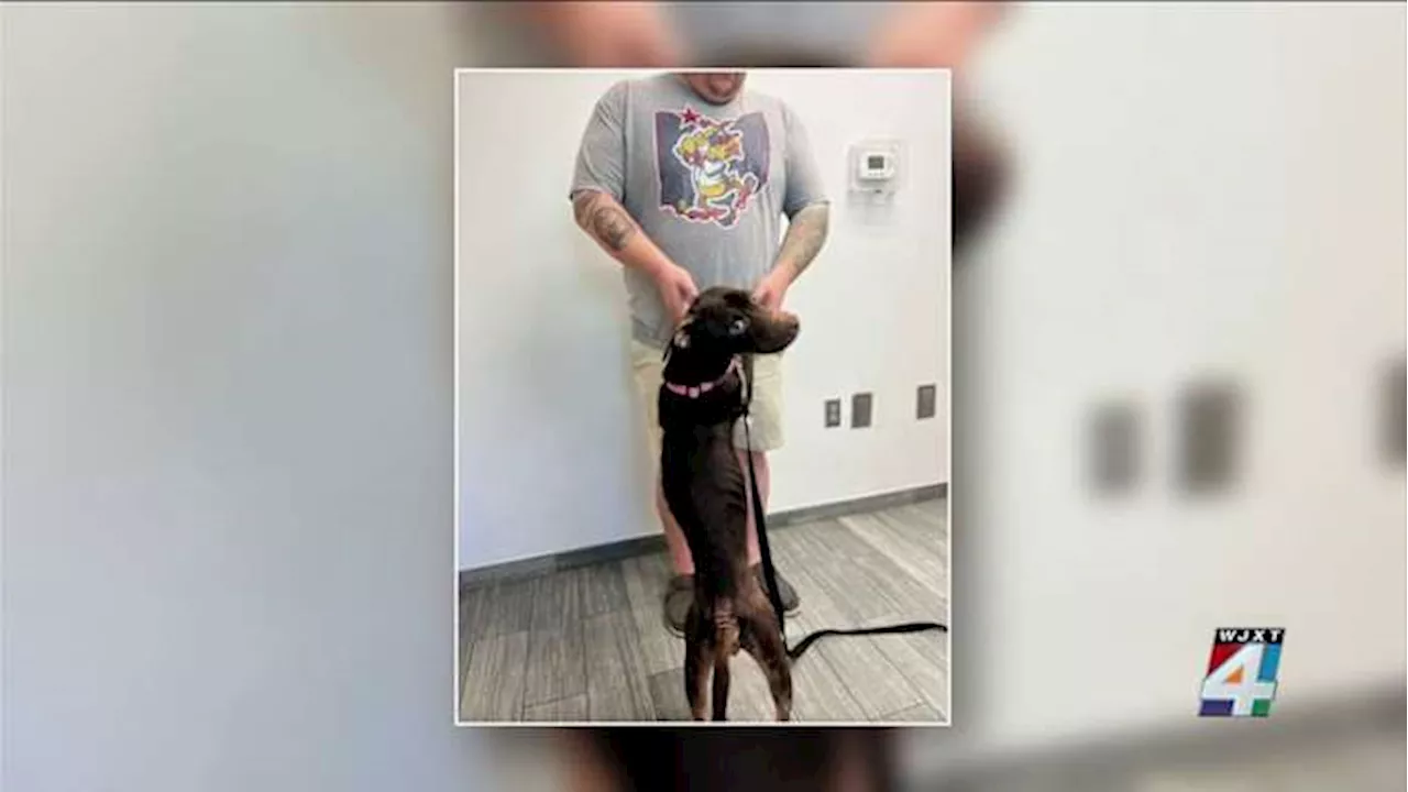 A new ‘leash’ on life: Dog found in Arlington trash can finds new home