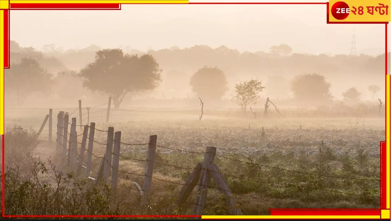 Bengal Weather Update: বাংলায় ভরপুর শীতের আমেজে এখনই ১৬ ডিগ্রি! জাঁকিয়ে শীত কবে থেকে?