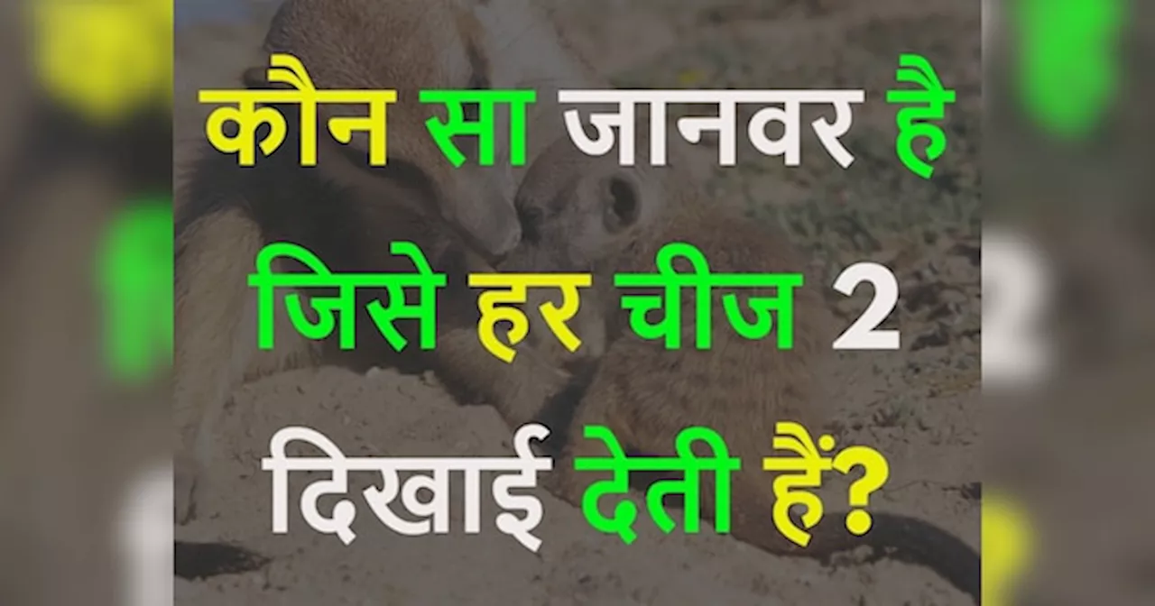 GK Quiz: कौन सा जानवर है जिसे हर चीज 2 दिखाई देती हैं?