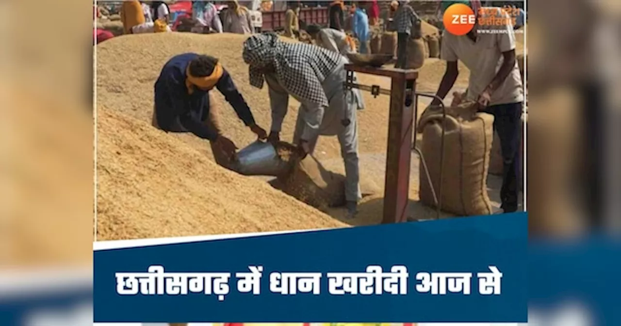 Paddy Purchase Centre: छत्तीसगढ़ में धान खरीदी का महापर्व आज से शुरू, सीएम विष्णुदेव साय करेंगे शुभारंभ