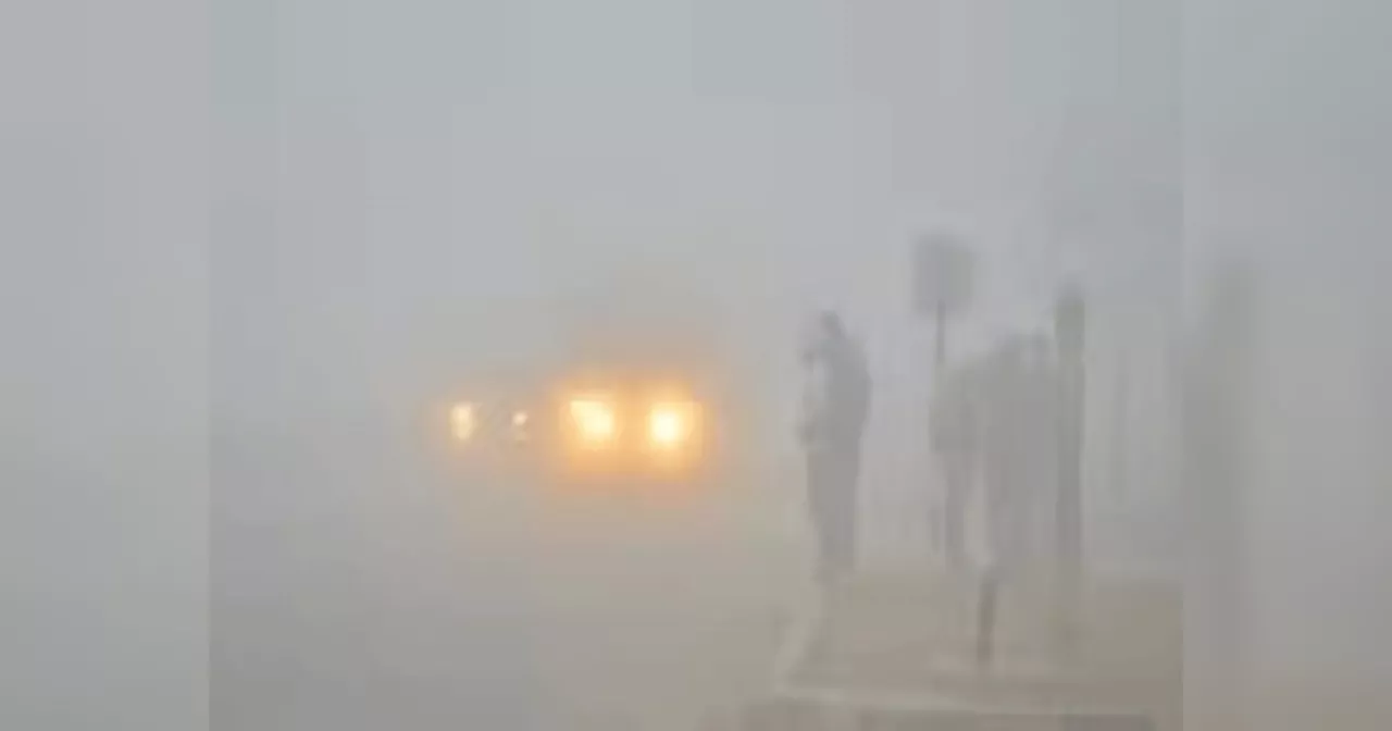 Rajasthan Weather Update: राजस्थान में ठंड आने से पहले छाया घना कोहरा, कड़ाके की सर्दी पड़ने को लेकर अलर्ट जारी