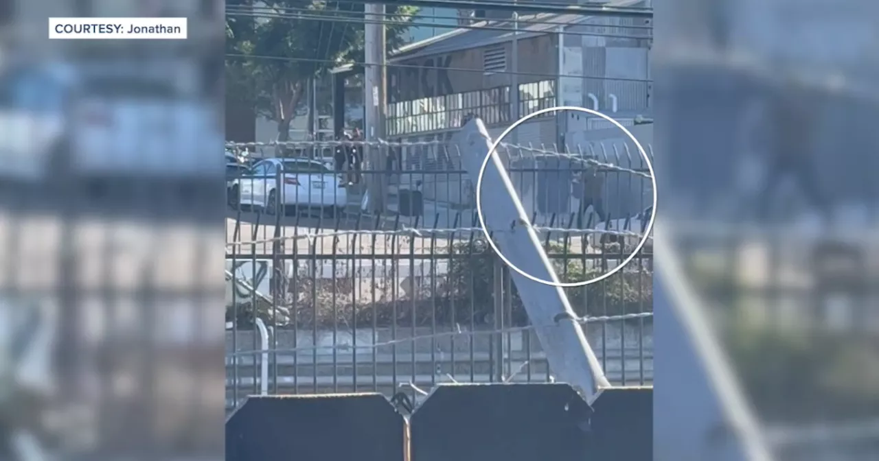 Former SWAT commander & lethal force instructor provides insight on Little Italy shooting