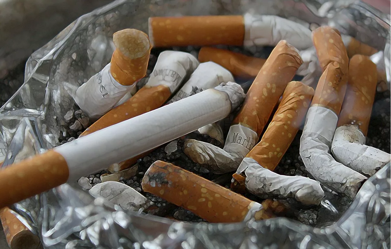 Qu’est-ce que la varénicline, cette pilule anti-tabac distribuée gratuitement au Royaume-Uni ?