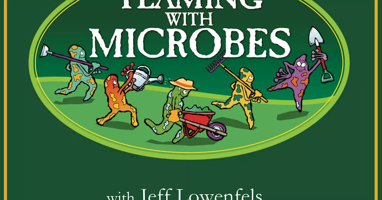 ‘Teaming With Microbes’ podcast: Winter lawns