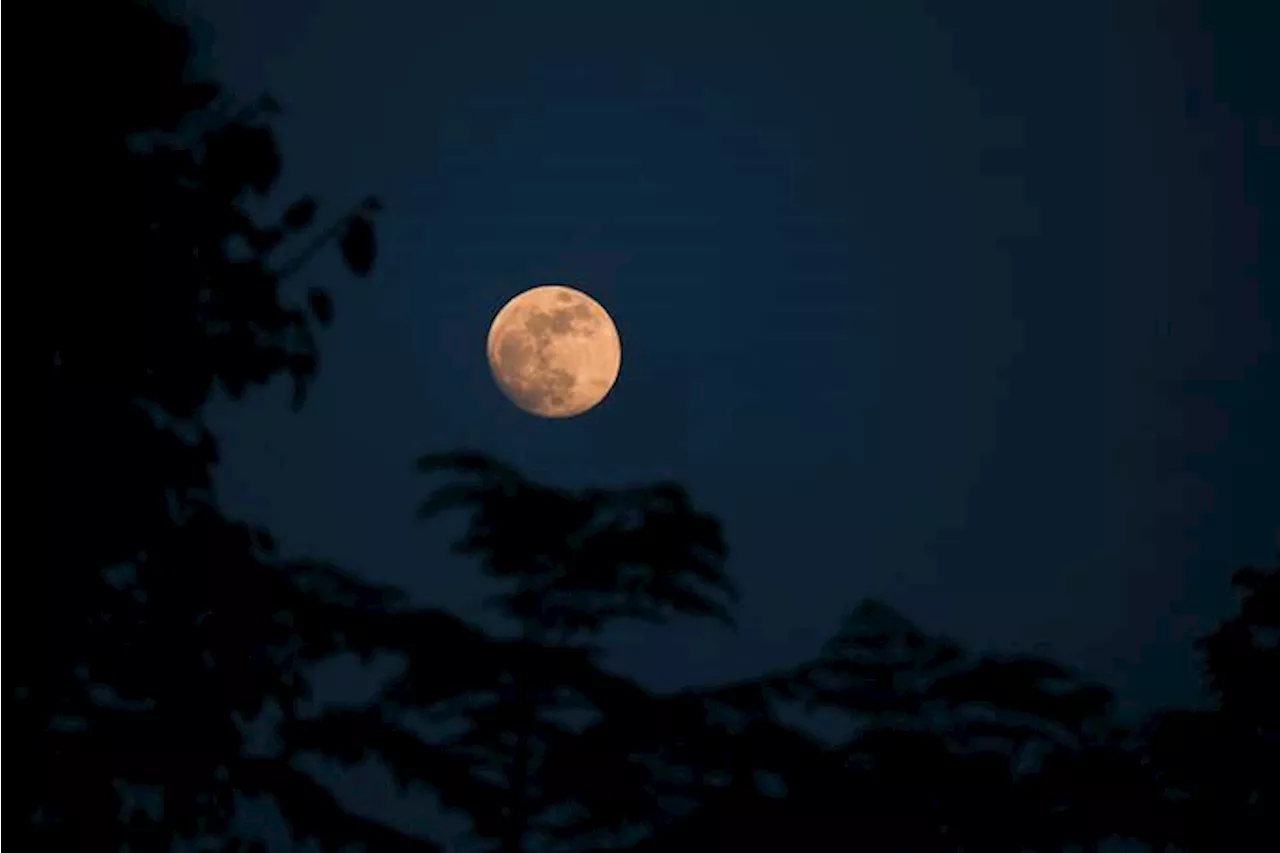 La última 'Superluna' del año sobre el cielo italiano