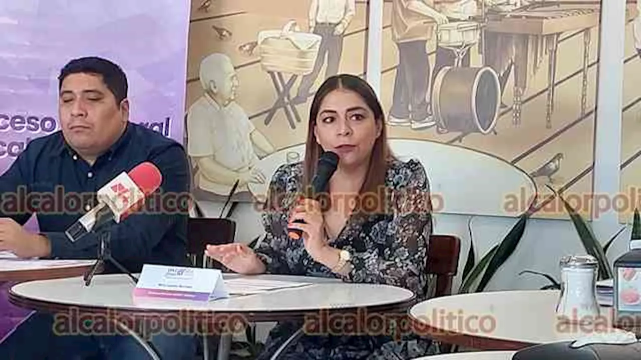 En ningún municipio se ha detectado inseguridad que afecte al proceso electoral local: OPLE