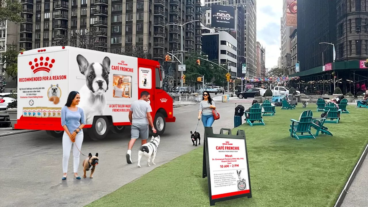 Royal Canin to host French Bulldog pop-up in Flatiron next week