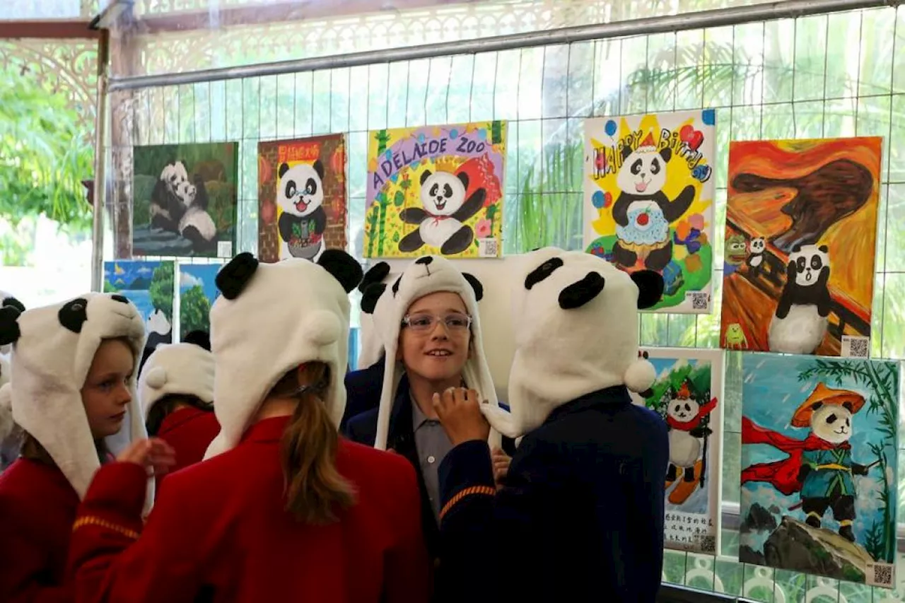 Panda raksasa Wang Wang, Fu Ni tinggalkan Australia, pulang ke China