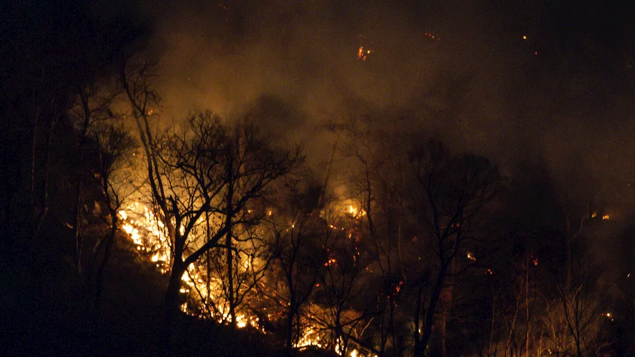 Firefighters are closer to taming the wildfire that's across the New Jersey-New York border