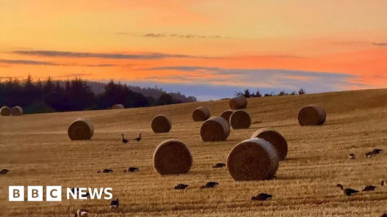 Your pictures of Scotland: Photographs from around the country