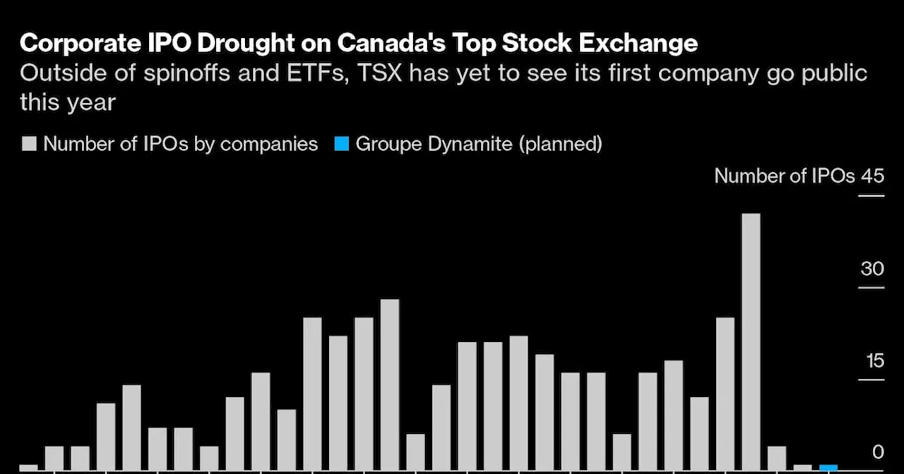 Groupe Dynamite’s ‘Canny’ IPO to Kick Off More Canadian Deals