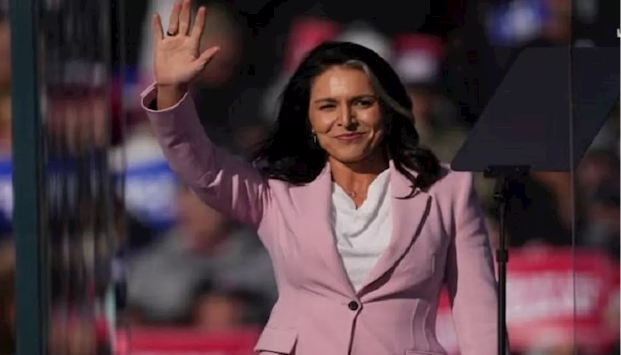 Tulsi Gabbard’s appointment as next US Director of National Intelligence sparks widespread criticism