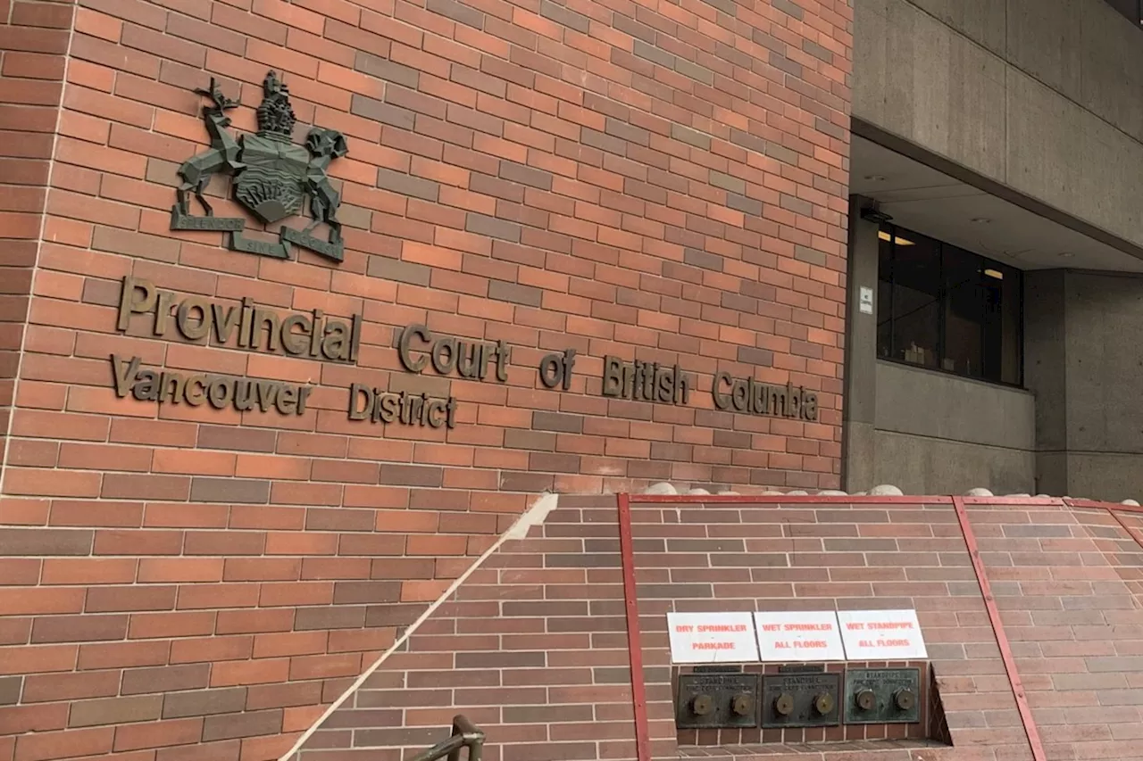 B.C. man faces 36 charges, including B&E, forgery and fleeing police