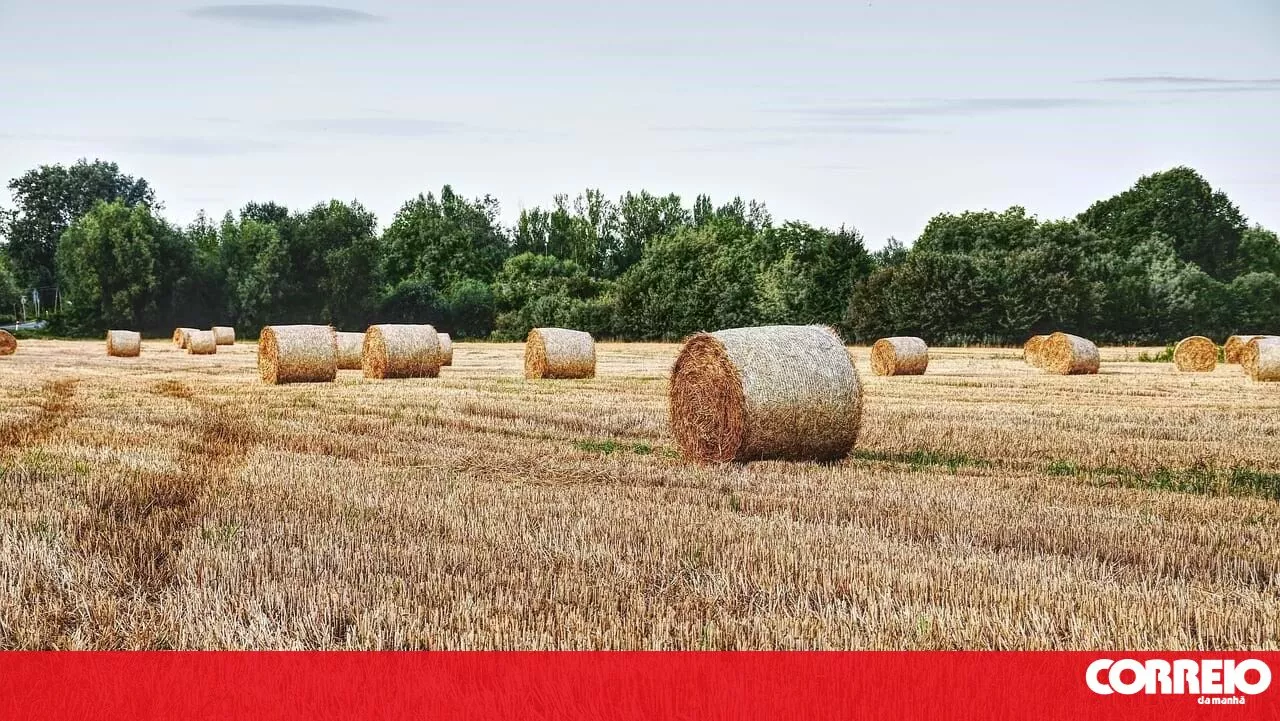 Seca meteorológica terminou em algumas regiões de Portugal continental em outubro