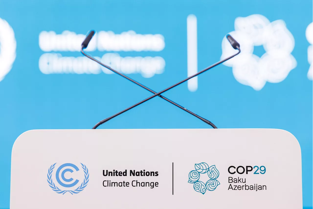 Delegações e ONGs defendem COP29 após carta crítica de ex-líderes da ONU