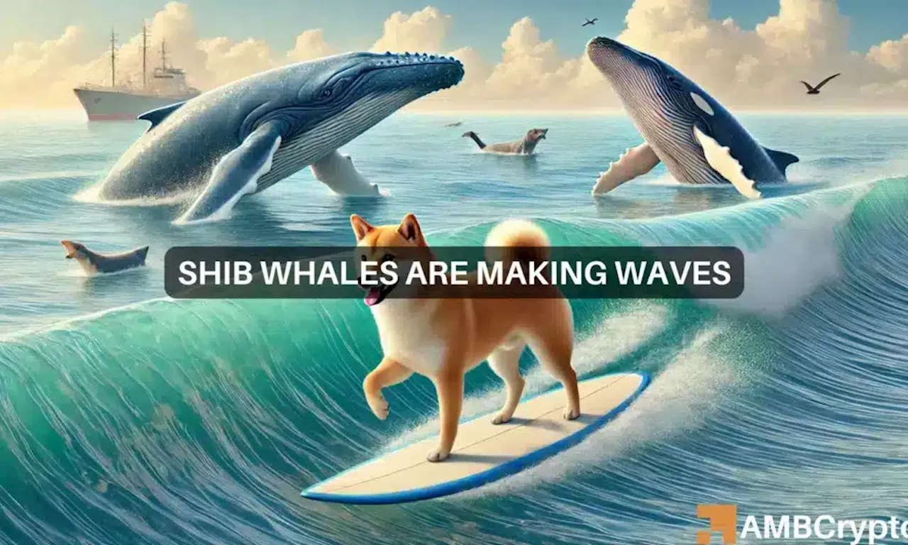 Whale moves $99M in Shiba Inu: Is a market correction imminent for the memecoin?