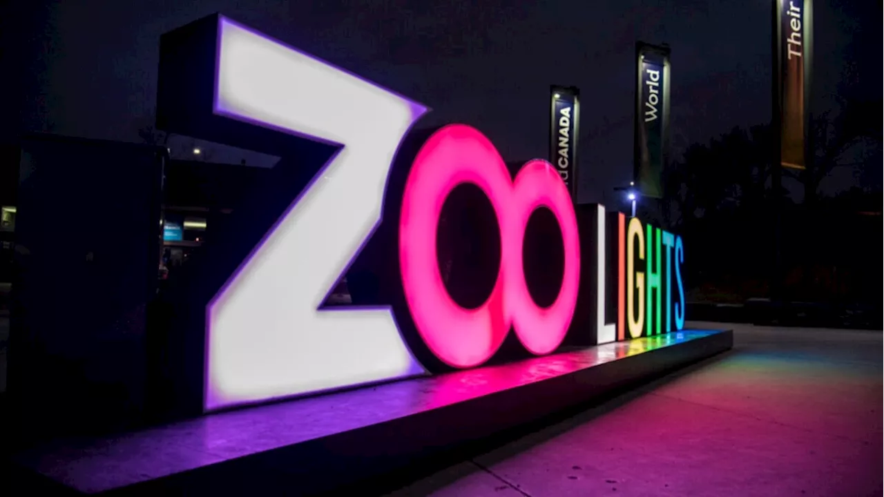'Enchanting experience': Zoolights 2024 kicks off at Calgary Zoo