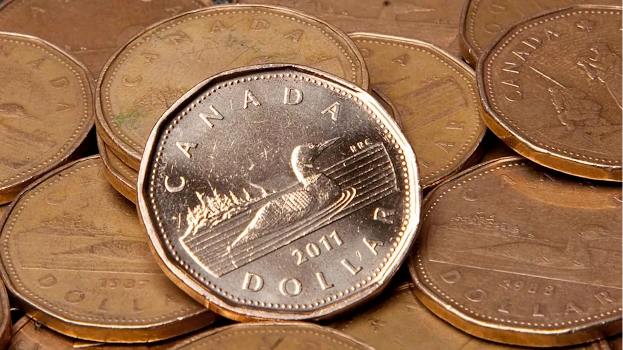 Low loonie sparks concerns for some Alberta businesses, celebration for others