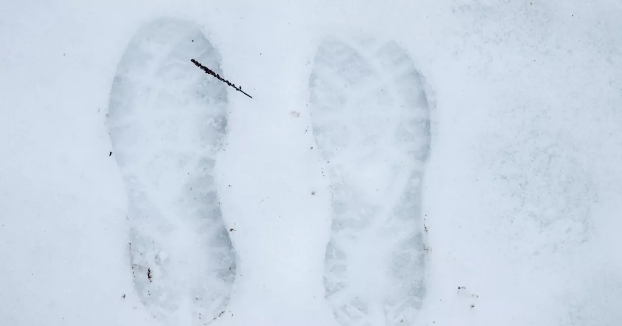 DR Vejret deler uhørt melding: Op til 11 centimeter sne på vej mod Danmark