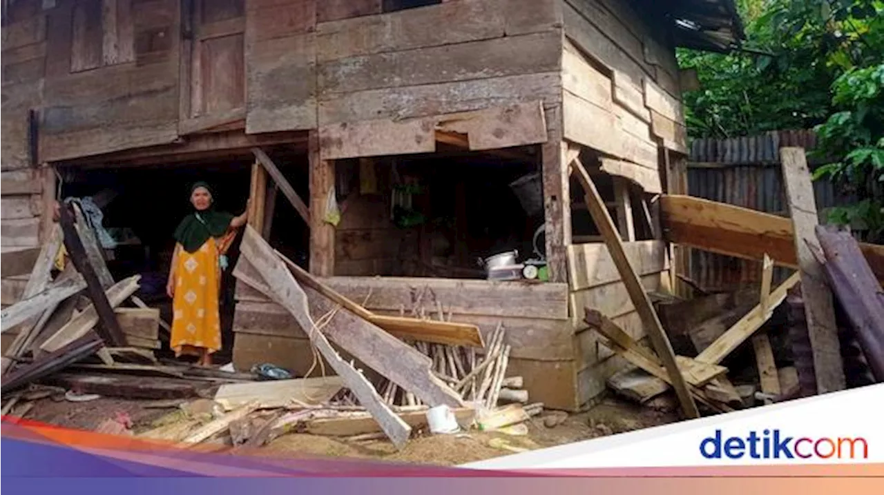 Kawanan Gajah Rusak 15 Rumah Warga di Lampung