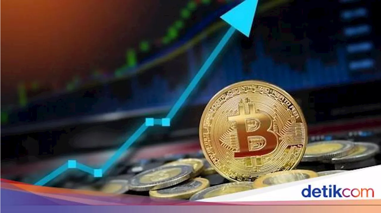 Bitcoin Lagi Ngegas, Ahli Finansial Ingatkan Tetap Kelola Risiko