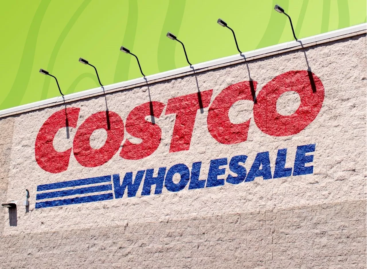 Costco's Adorable Sold-Out Pet Item Is Back For the Holiday Season