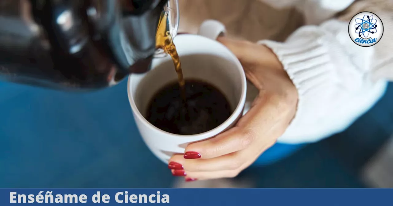 ¿Qué pasa si tomas café sin azúcar todos los días?