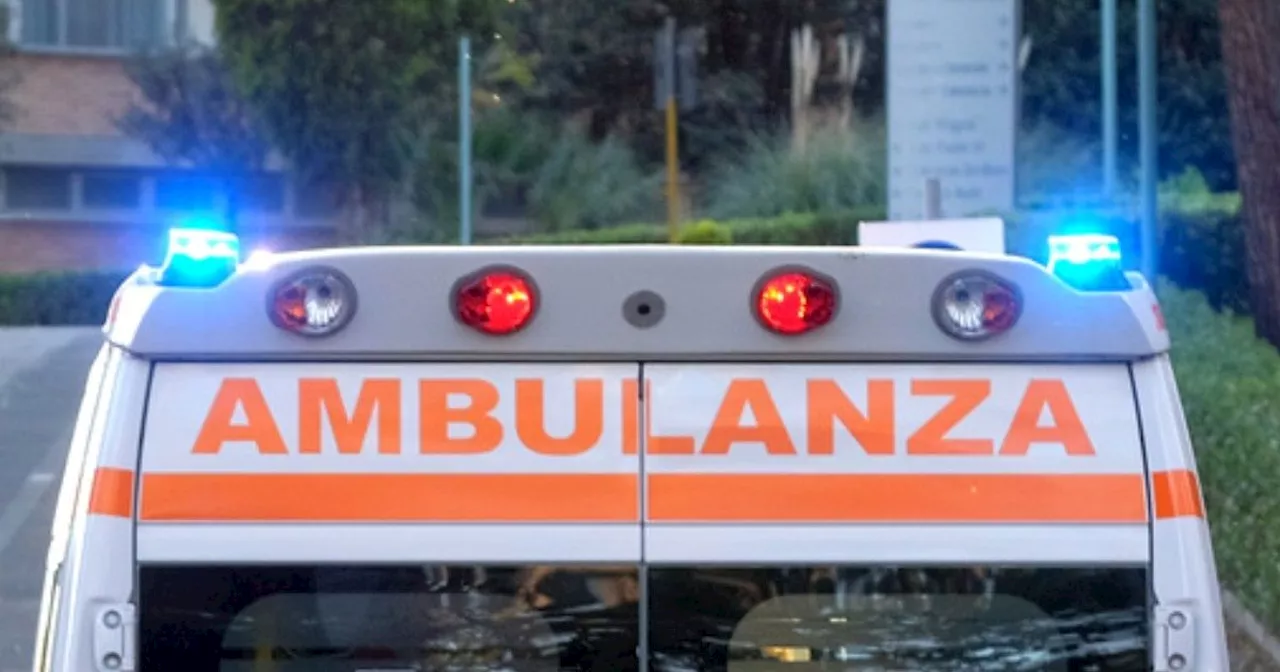 “Portarono il boss latitante da Cosenza a Bari con l’ambulanza guidata da un volontario”:…