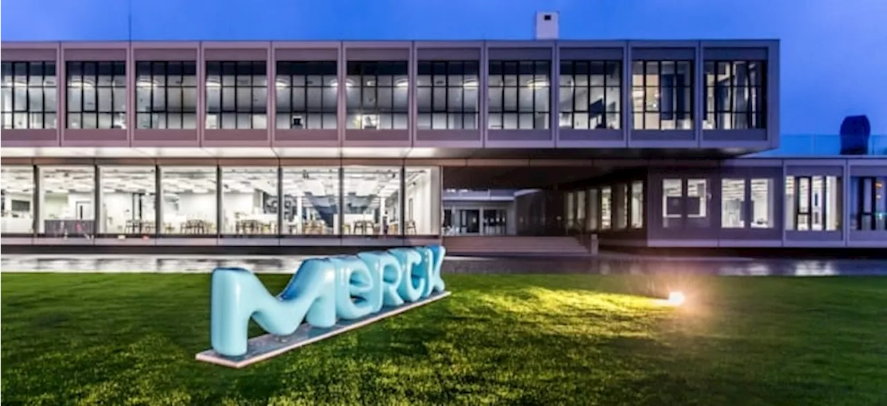 Investment-Tipp Merck-Aktie: UBS AG bewertet Anteilsschein in neuer Analyse