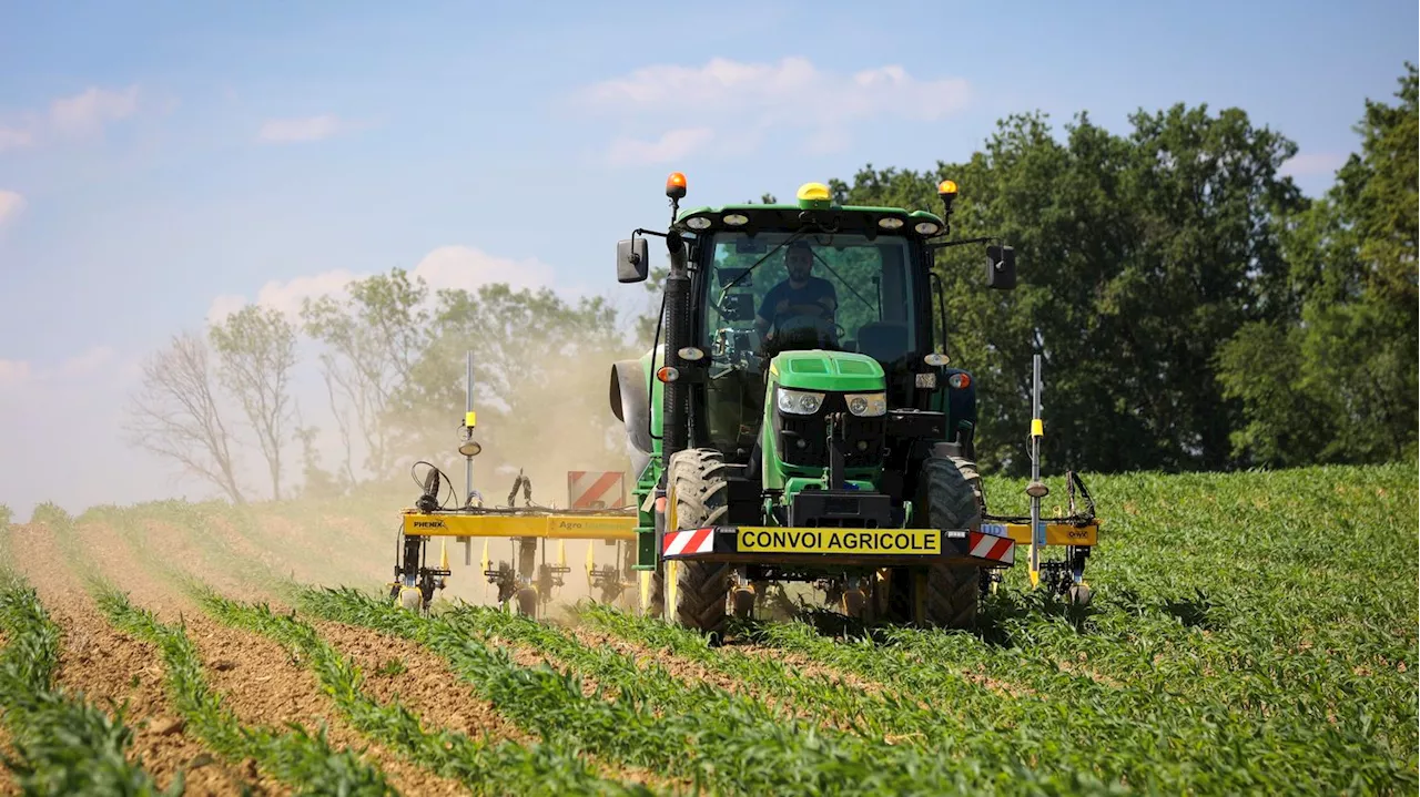 VRAI OU FAUX. Est-ce vrai que deux agriculteurs se suicident par jour en moyenne en France ?