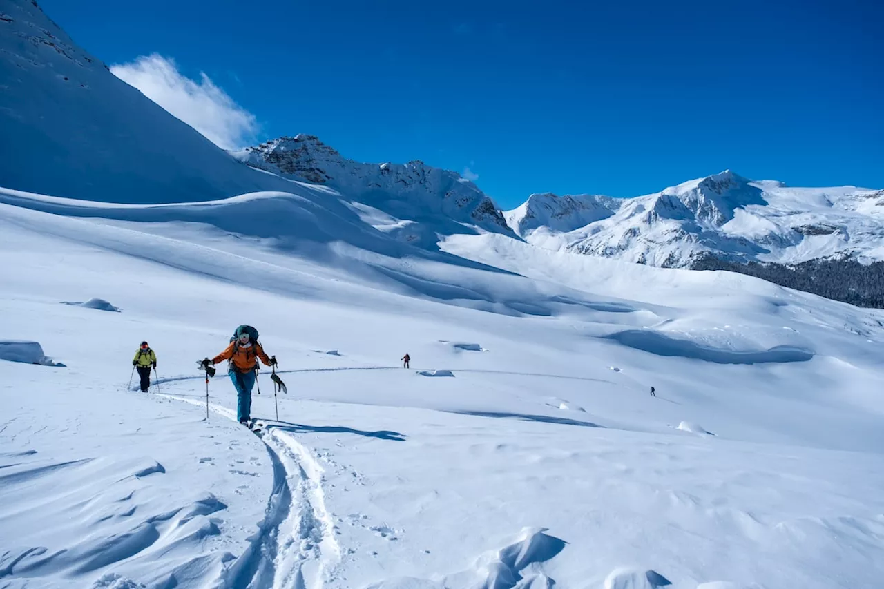 Backcountry ski touring in the Rocky Mountains is always better (and safer) with a guide