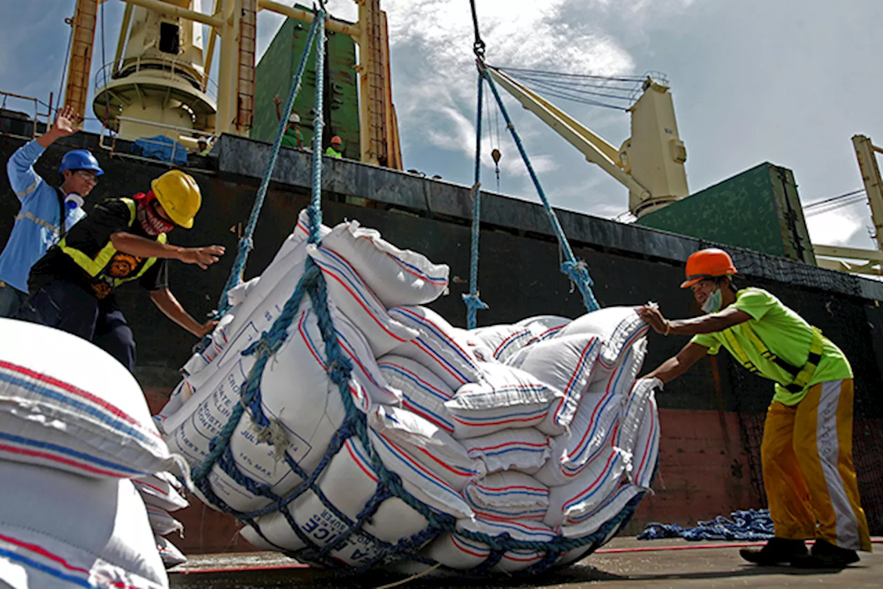 Marcos: PH to import 4.5M tons of rice as agriculture reels from typhoons